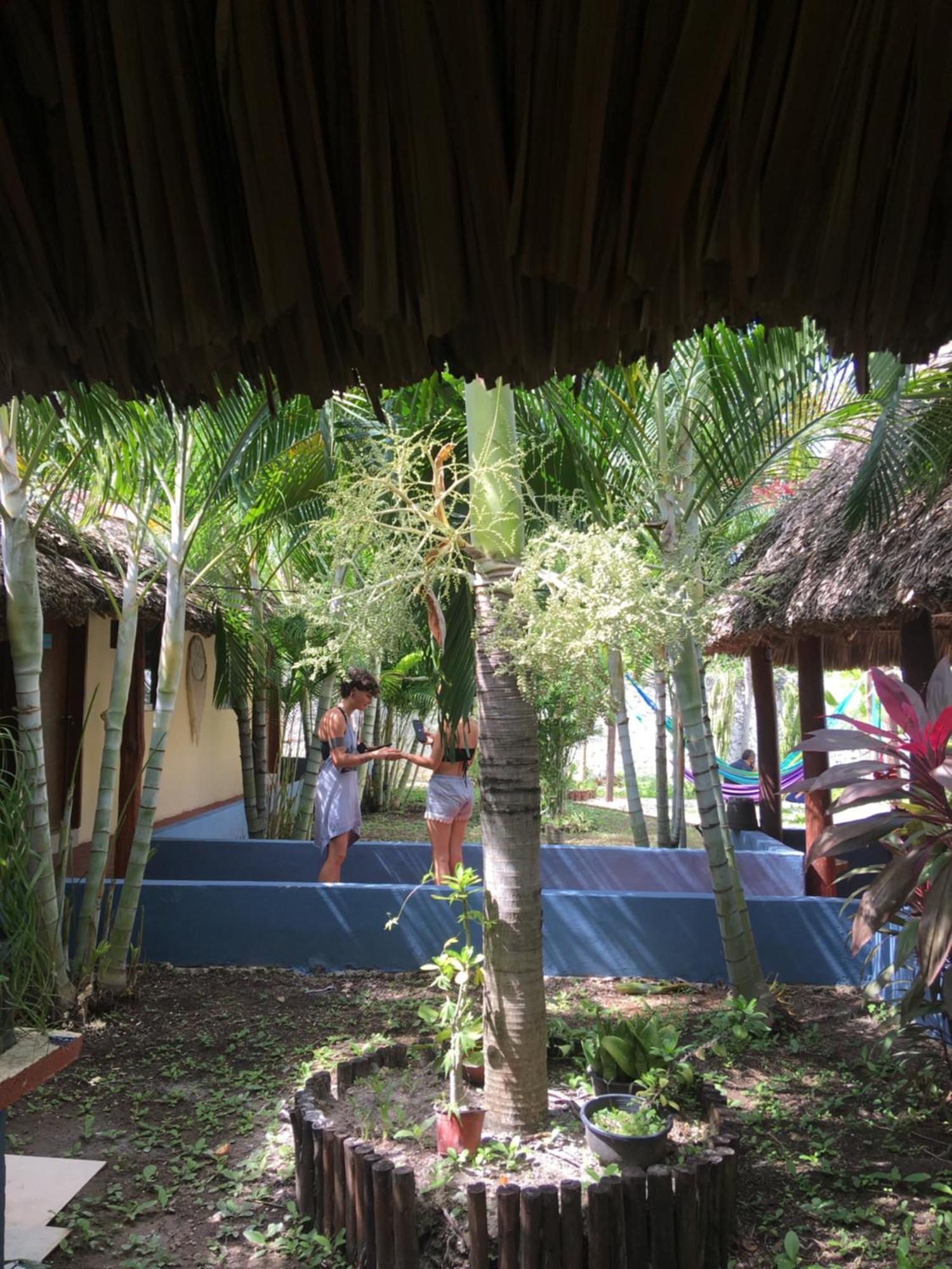 Casa Bokoba Bacalar Exterior foto